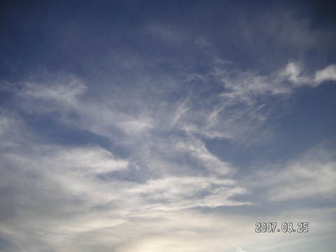 s_PICT0021.jpg